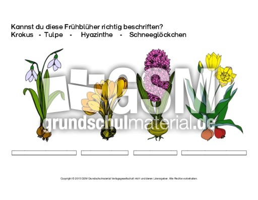 1-AB-Frühblüher-beschriften-1.pdf